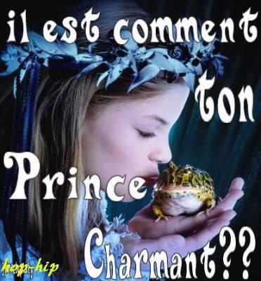 Comment est ton prince charmant ?????